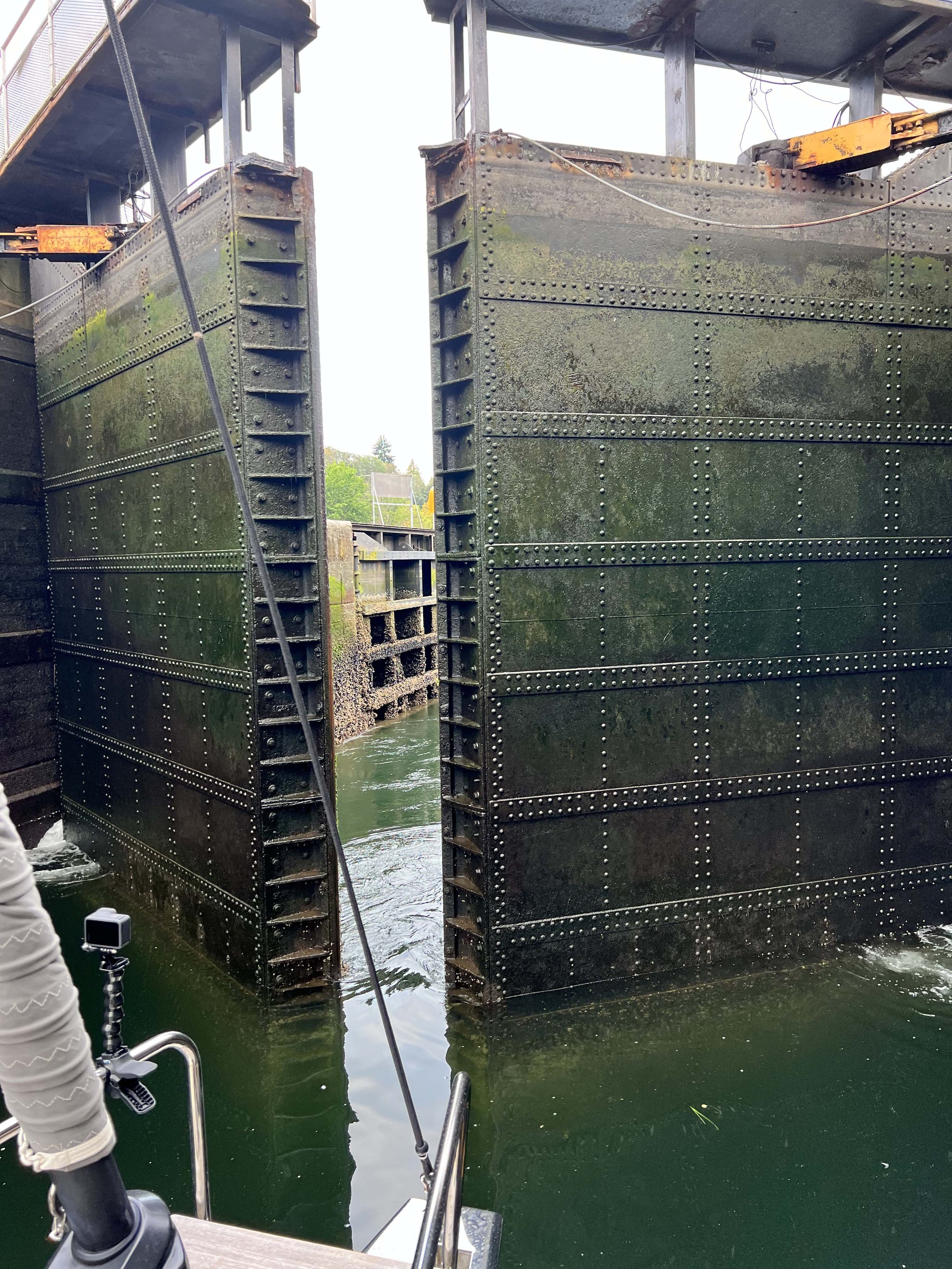 The Ballard Locks opening up