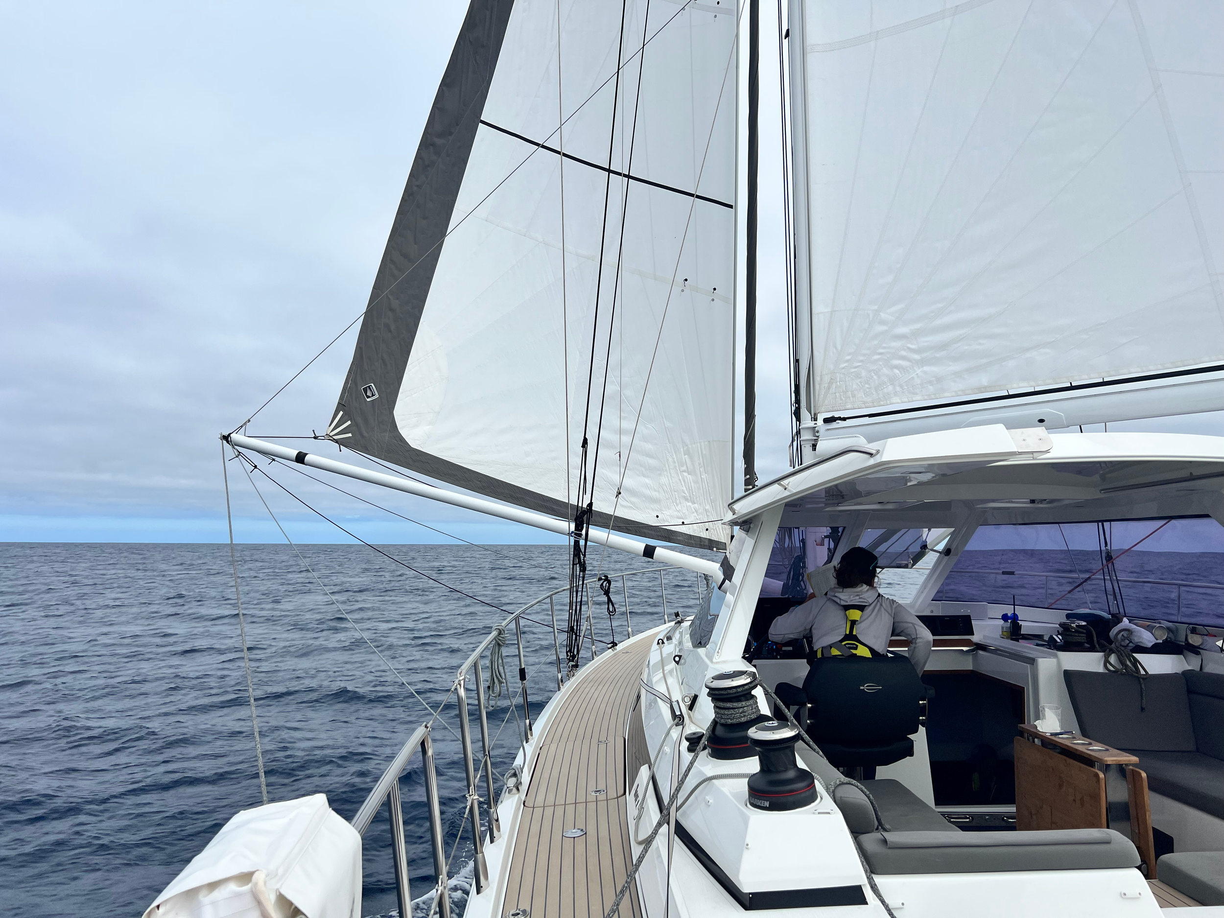 Sailing wing-on-wing