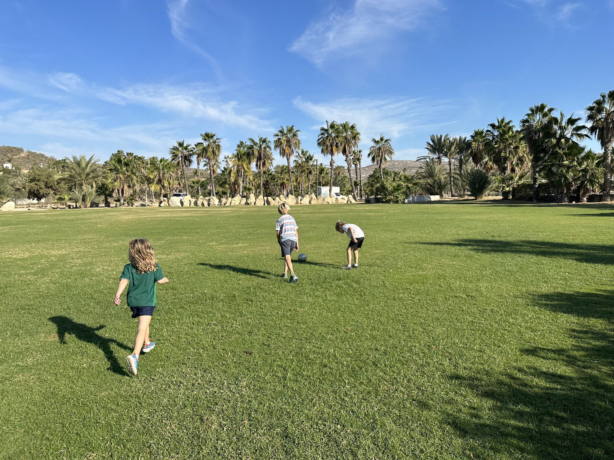 Grassy field in Puerto Los Cabos