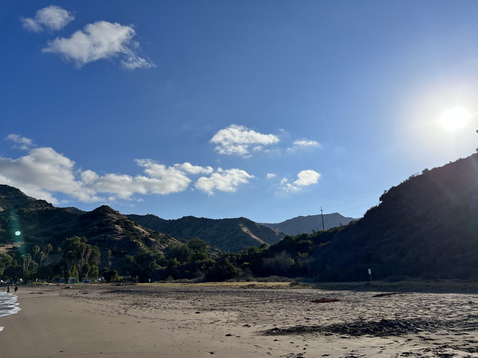 Looking up the valley from the beach at White's Landing