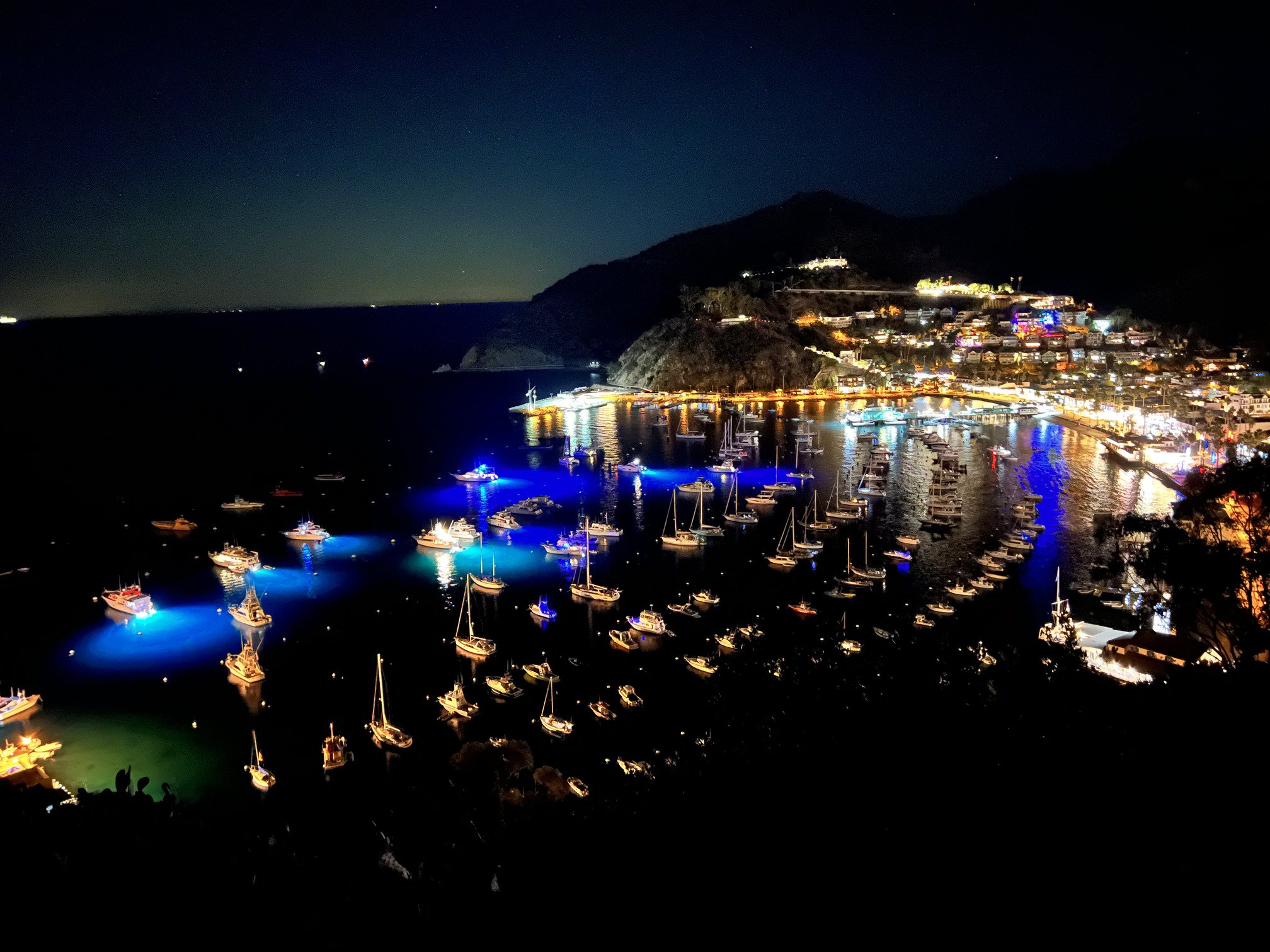 Avalon Harbor from the Bell Tower