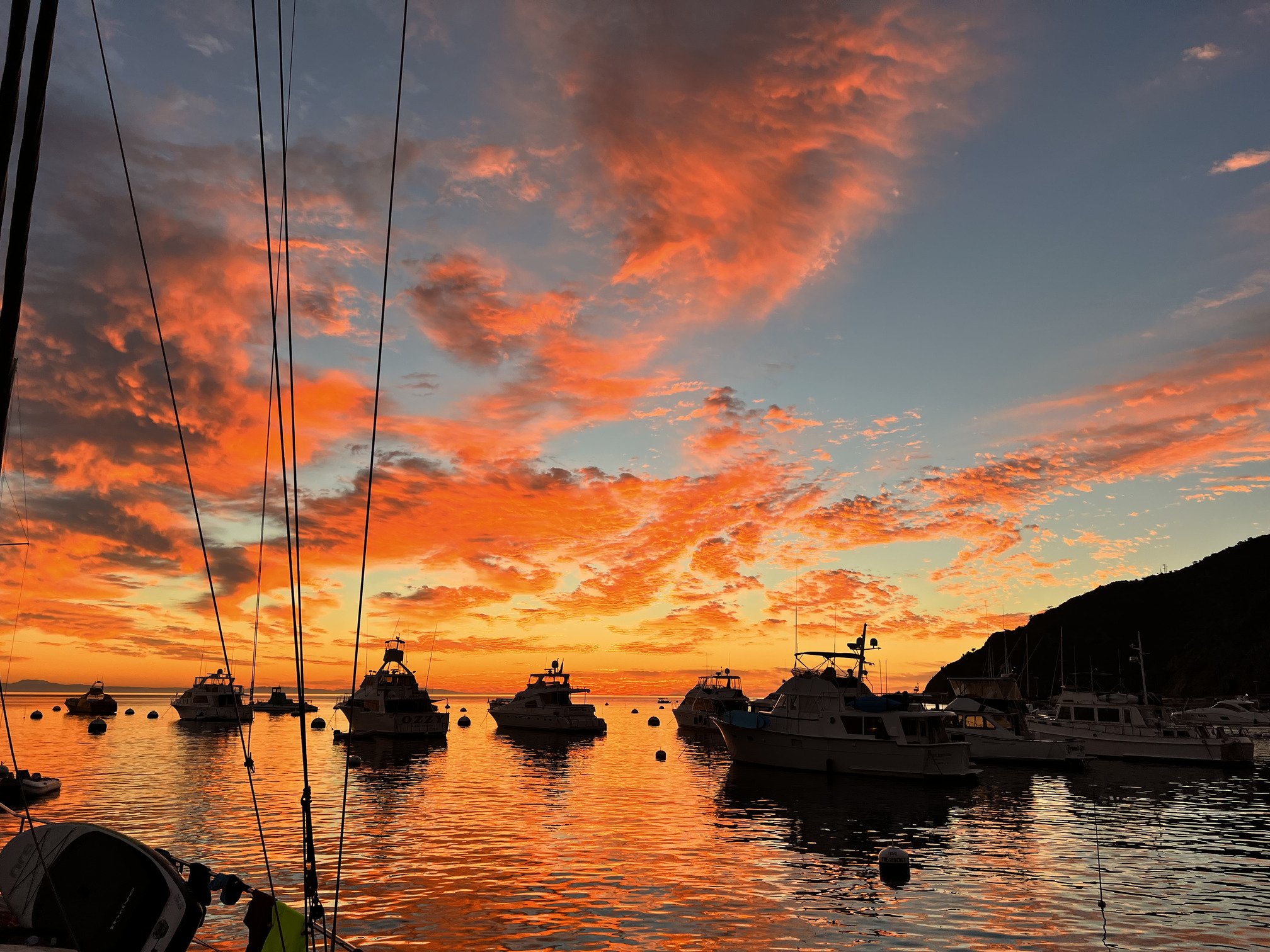 Sunrise in Avalon Harbor