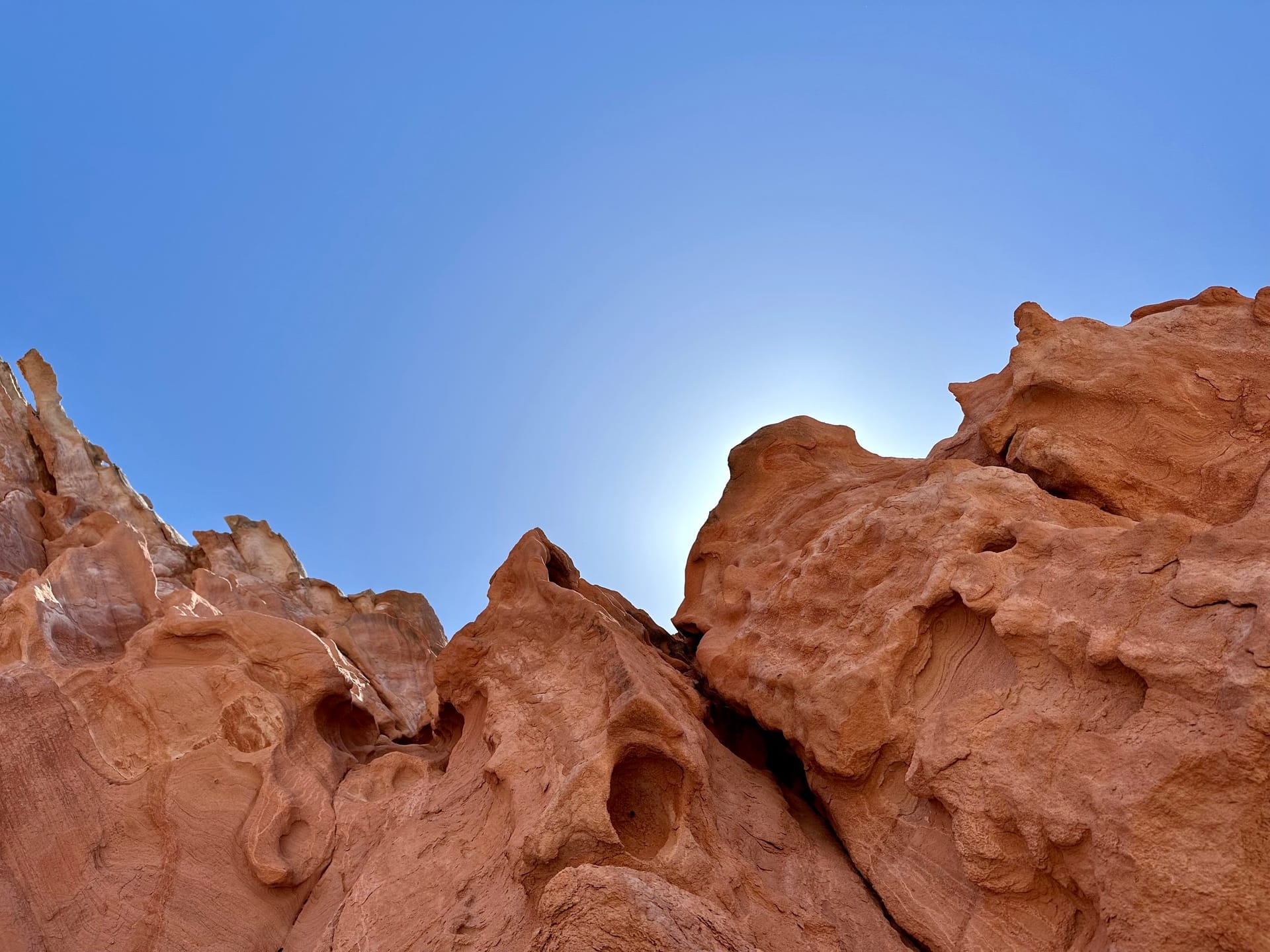 A few weeks on the Baja Sea