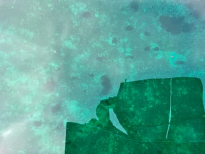 Snorkeling on Catalina