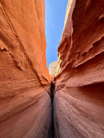 Dear Luke (June 2022)