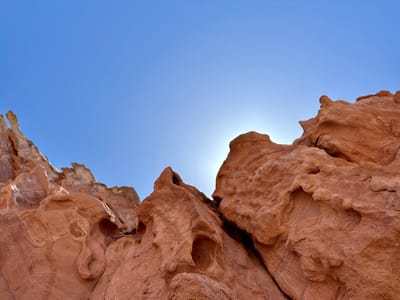 A few weeks on the Baja Sea