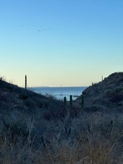 La Ramada, Guidebooks, and Anchoring